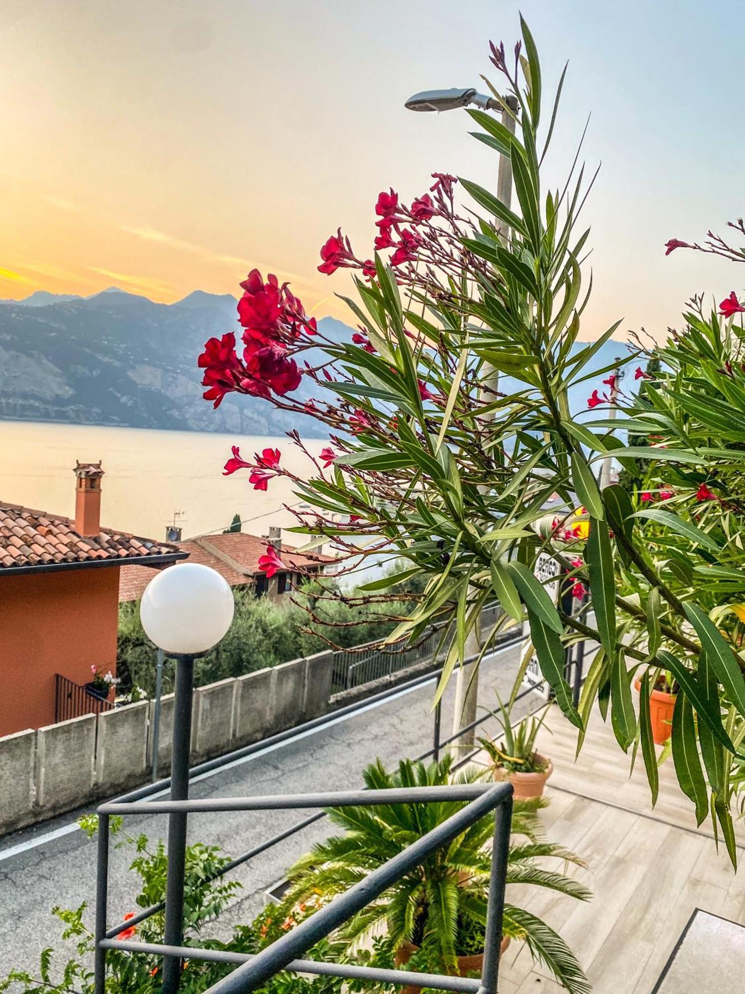 Villa Emma Malcesine Luaran gambar
